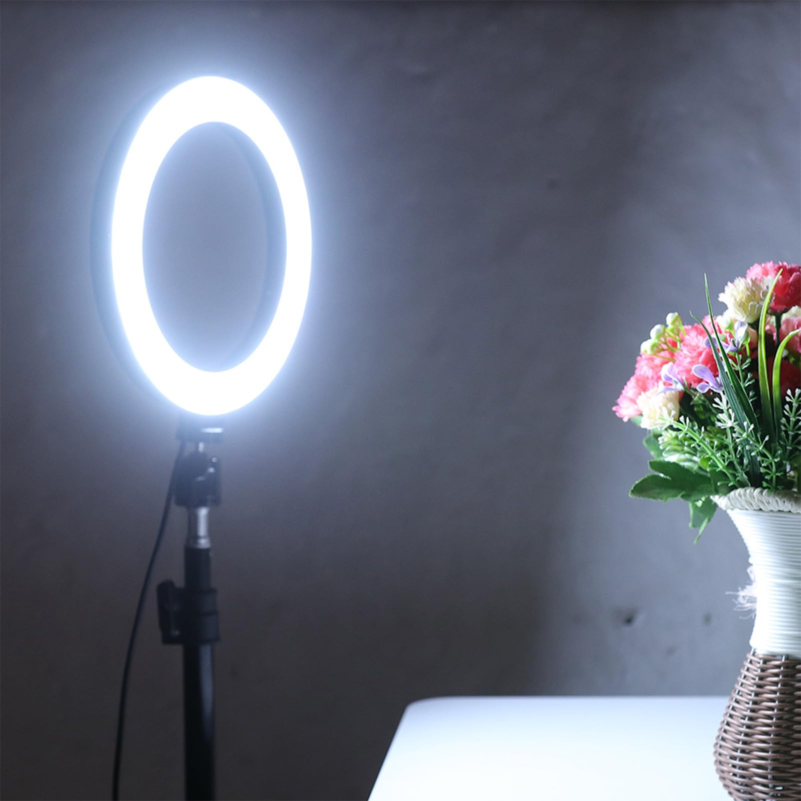 Anello Luminoso LED da 10"con Supporto per treppiede, 3 modalità di Luce dimmerabili Anello Luminoso per Selfie con Supporto per Telefono, Lampada LED per Porta USB
