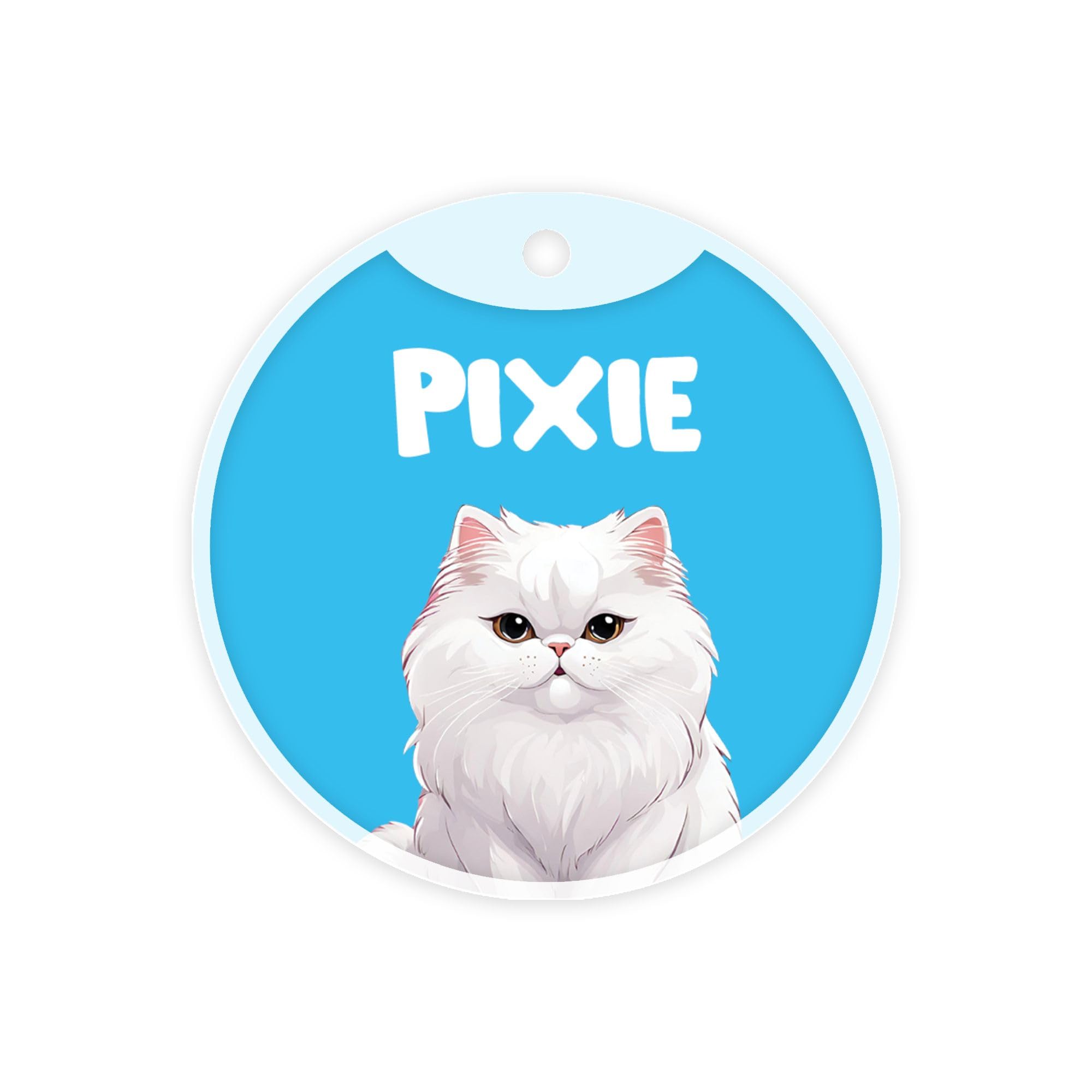 Pawsindia Personalized Cat Name Tag, Customized Pet ID Tag for Cats with Double Side Waterproof Print, Breed Collection (Blue, White Persian) (B0CT5Z1HSG) Amazon Price History, Amazon Price Tracker