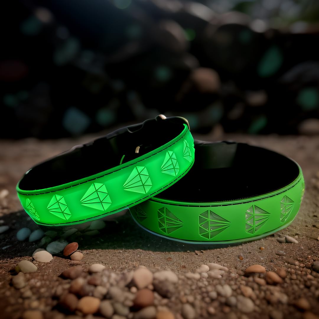 Collier lumineux à DEL en matériau doux et confortable pour chien Subversive