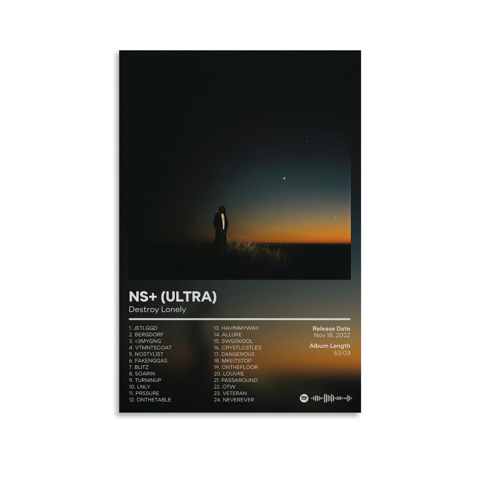 Destroy Lonely Poster Album Poster Canva Colourfast Wall Art Decorative Painting for Living Room Bedroom Home Decor 12x18inch(30x45cm) Unframe-style