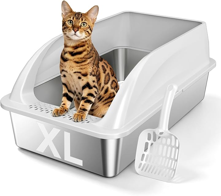 Transparent editorial object representing Lifestyle