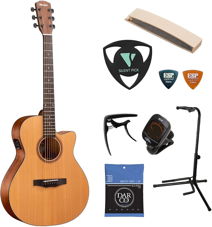 Morris S-031E NAT エレアコ ソフトケース付 Morris S-031E NAT