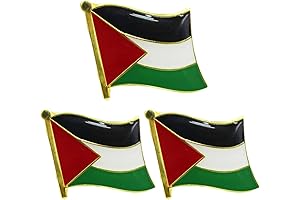 Expression of National Pride: 3-Pack Palestine Flag Pins