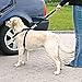 TRIXIE Auto Geschirr Größe L: Brustumfang 70–90 cm/25 mm in schwarz - stufenlos anpassbares Hundegeschirr für das Auto mit verstellbarem Anschnallgurt für große Hunde, 1292