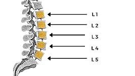 Review Image by C. Satterfield C. Satterfield