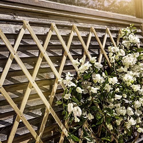 Windhager Holz-Spalier, Rankhilfe, Rankgitter, Holzzaun, Pflanzengitter zusammenfaltbar, variabel verstellbar, 45 x 180 cm, natur