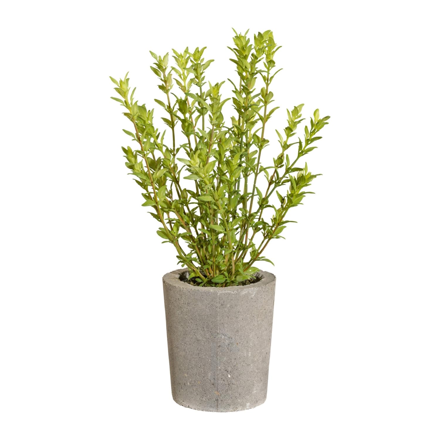 blumenkasten bestellen Pflanzkasten maßgeschneidert aus Cortenstahl – Individuell vom Hersteller –  Der Stahlgarten main image 1