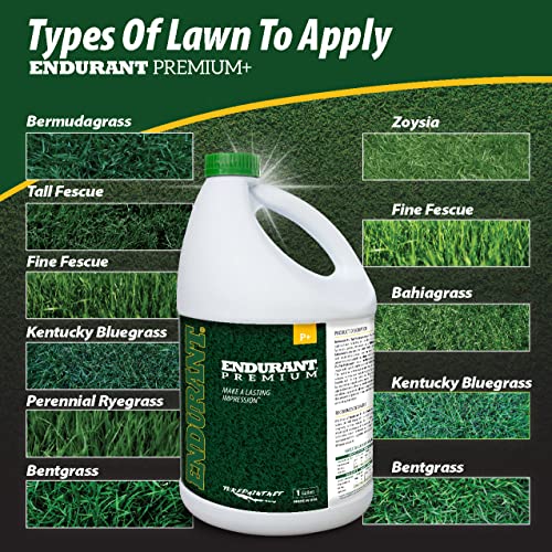 Endurant Lawn Paint Concentrated Green Grass Paint For Lawn And Fairway Treats Up To 10K Square Feet Of Dry Or Patchy Lawn – Pet Friendly Eco-Friendly Lawn Spray Paint, Grass Dye For Lawn #TOP2