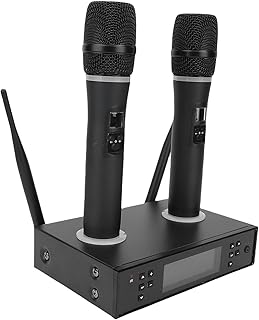 Wireless Microphone System with Rechargeable Dual Mics