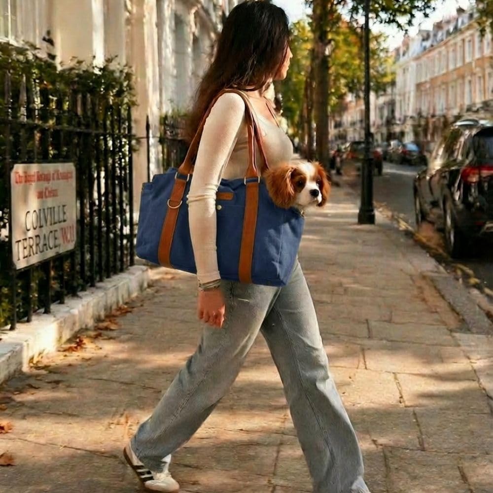 Trasportino per cani piccoli, borsa da viaggio morbida fino a 8 kg | Tails of Glory Jane Bag: borsa trasportino cane 2 in 1 con tracolla, guinzaglio interno, tasche e portaborraccia.