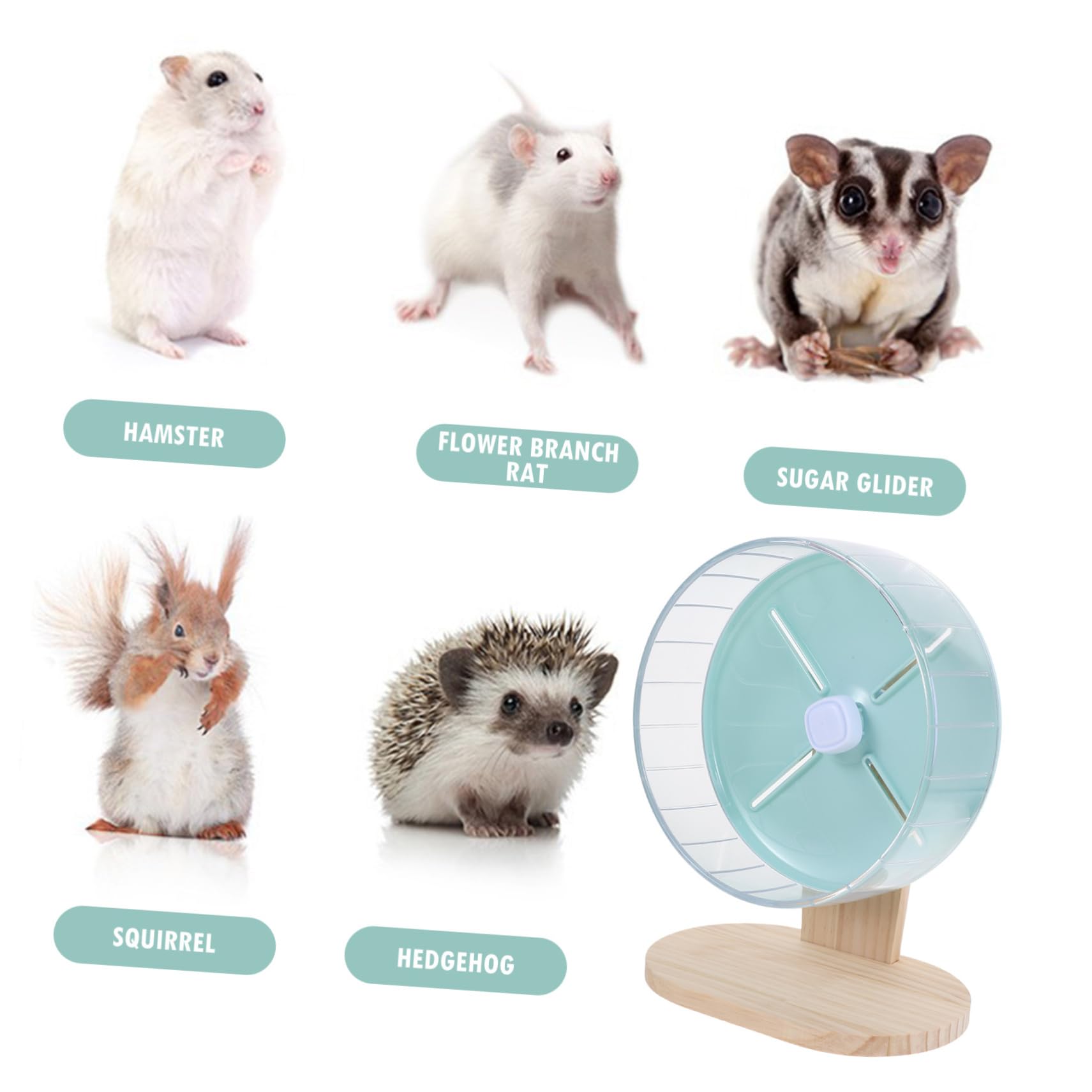 TOYANDONA Décoration Danimalerie Exercice Roue pour Chinchilla Petite Roue pour Hamster Jouet Silencieux pour Rat