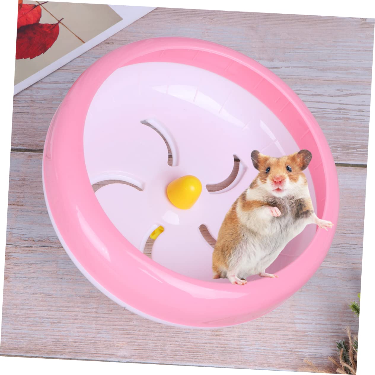 INOOMP 3pezzi Silenziosa Per Criceti Criceti e Gerbil Facile Installare e Utilizzare