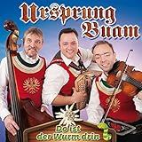  Do ist der Wurm drin (Das neue Album 2015)