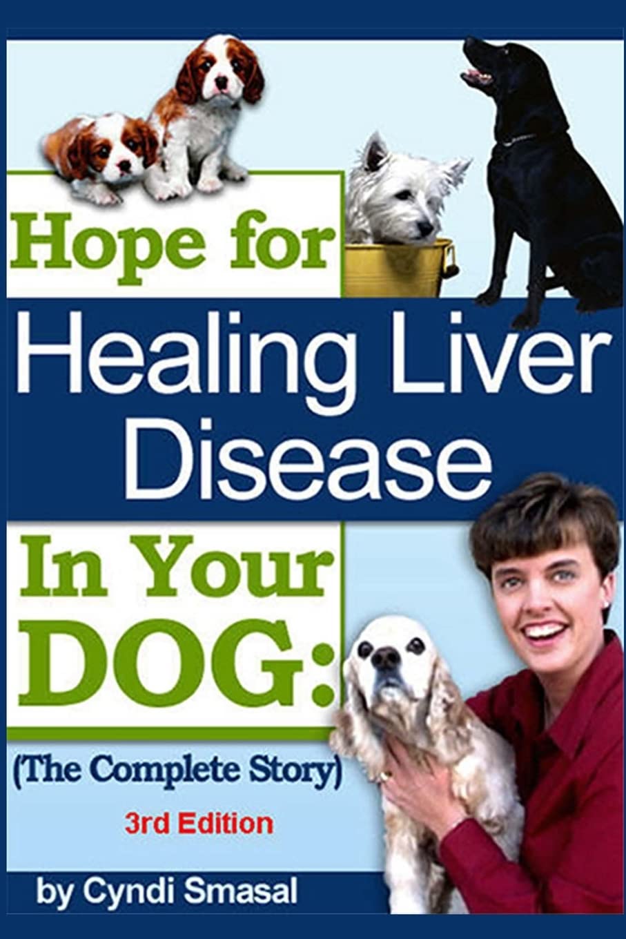 Top Tips for Canine Liver Disease Management and Prevention