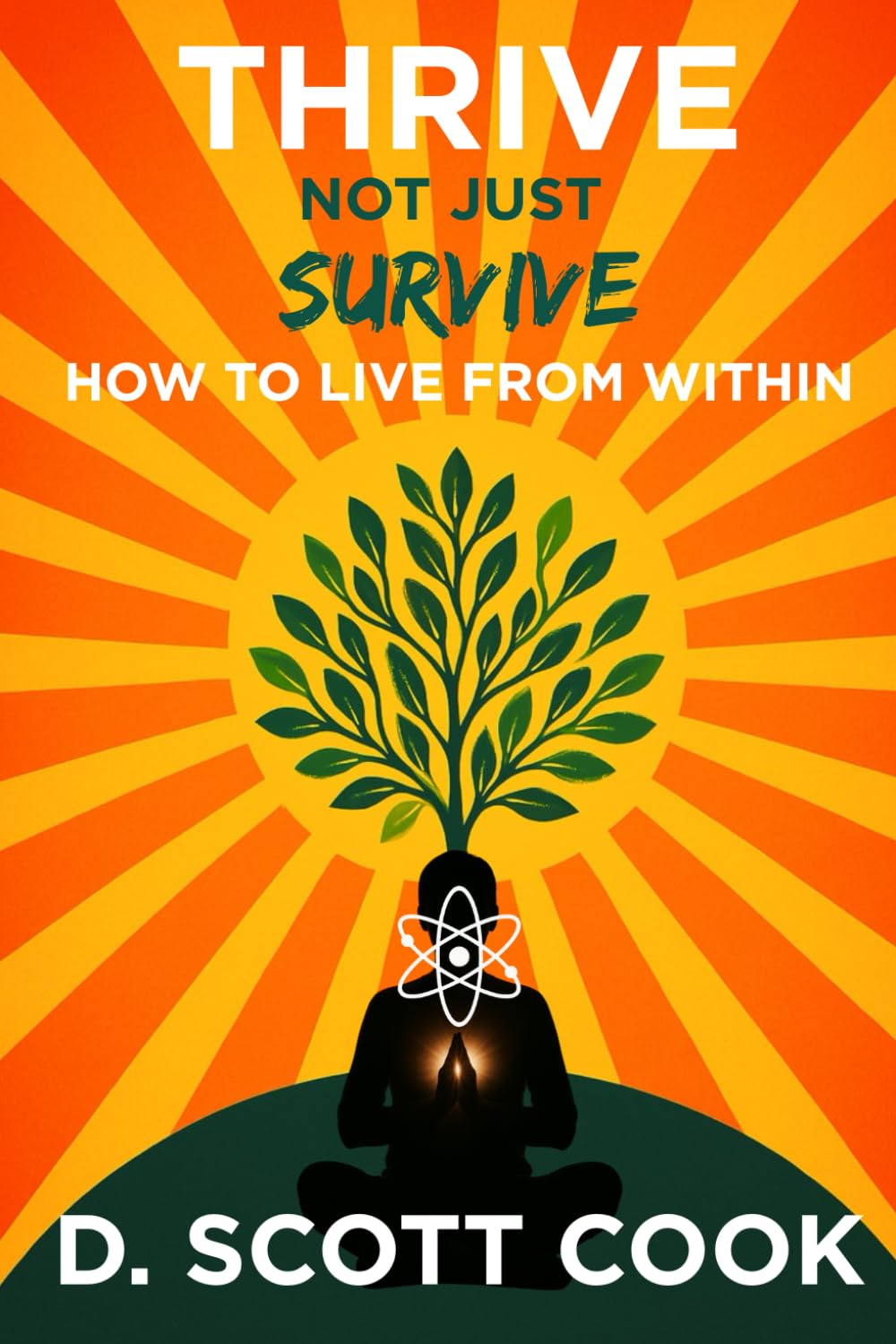 Thrive Not Just Survive: How to Live From Within