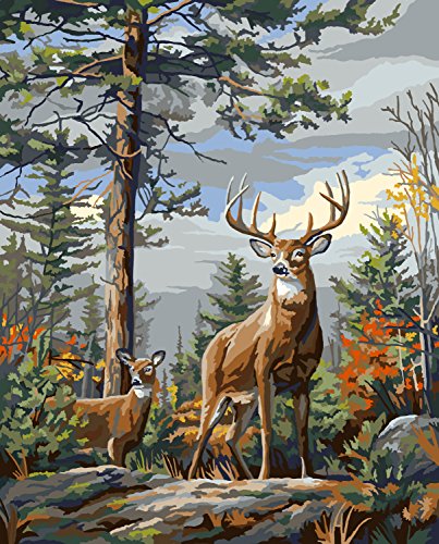 Delta Creative Plaid Paint by Number Kit, Standing Proud, , Size 20 16-Inch