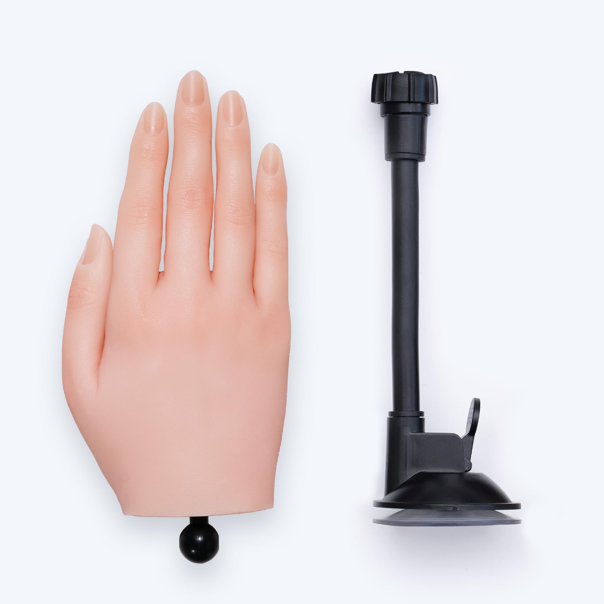 MODEL HAND ネイルアート練習用 Amazon.co.jp: 尚(Naochi) ネイル練習用ハンドマネキン