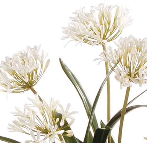 Vista 2 de MY SWANKY HOME Luxe White Agapanthus - Planta artificial de flores sintéticas, 29 pulgadas de caída en flores