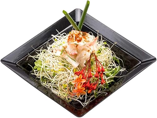 Restaurantware Platos de fiesta de 4.25 pulgadas, 100 platos cuadrados desechables, resistentes a las grietas, reciclables, platos pequeños de