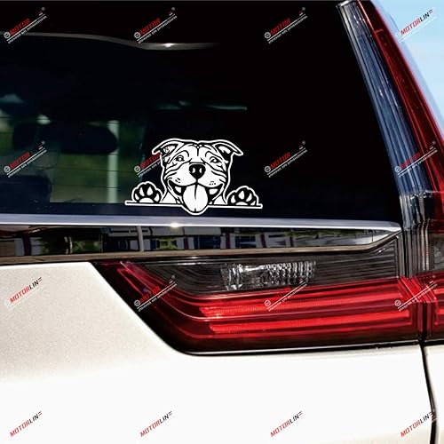Miniatura 2 de Pit Bull Terrier - Calcomanías de vinilo para perro Pitbull Peeking color negro, paquete de 3 unidades, brillante, 3 pulgadas, 4 pulgadas, 6