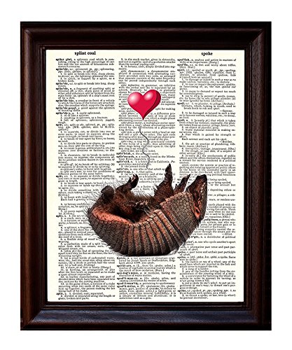 Fresh Prints of CT Dictionary Art Print - Armadillo Love - Printed on Recycled Vintage Dictionary Paper - 8"x11" - Mixed Media Poster on Vintage Dictionary Page