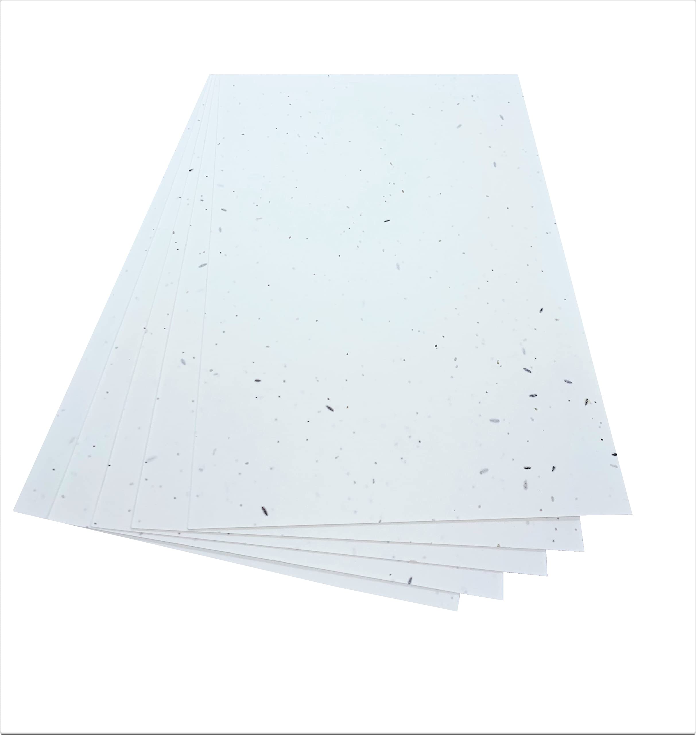Natural Nation White A4 Seeded Craft Paper 5 Pages Wildflower Seeds 200Gsm Plantable Eco