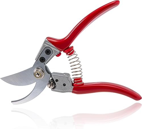 Goture Paquete de 1 tijera de poda profesional de 8.5 pulgadas con hoja de acero SK-5 y un resorte adicional  Podadora manual de jardín premium,