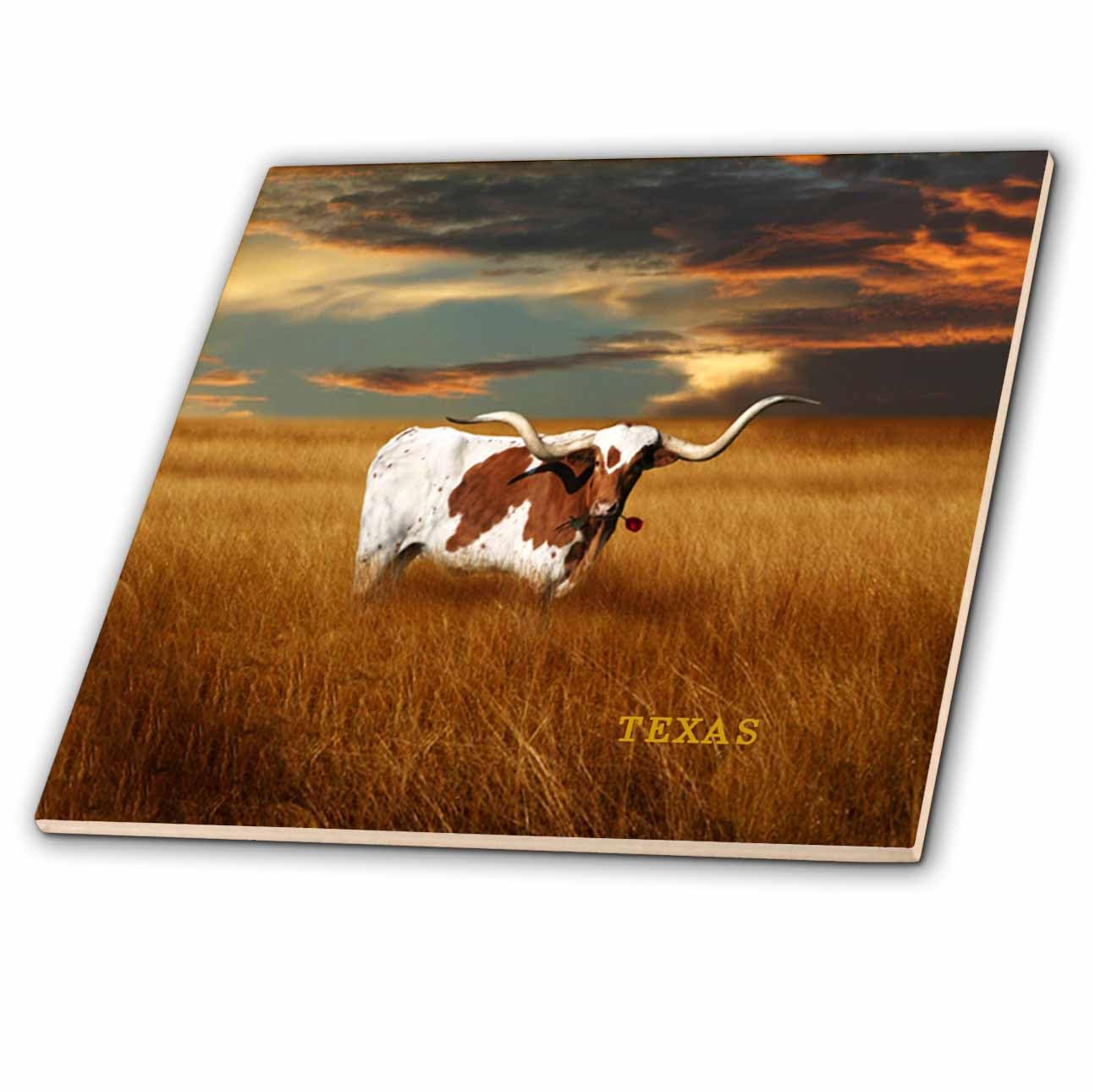3dRose A Texas Longhorn - Ceramic Tile, 12-Inch (ct_62229_4)