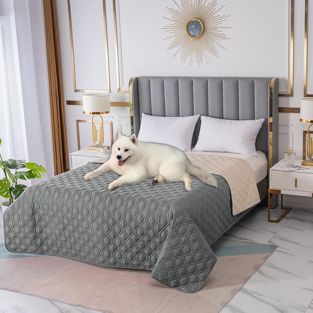 hundebett cord grün Orthopädisches Hundebett ANTON Cord Olive
