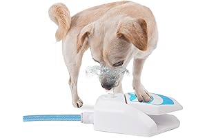 All for Paws Outdoor Dog Sprinkler Paw Activated Water Dispenser Step On Water Fountain