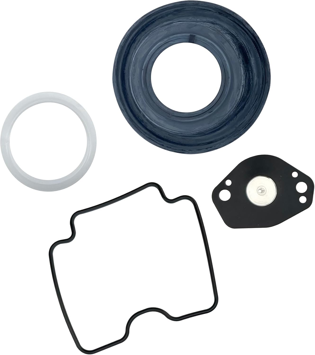 Mikuni Carburetor Rebuild Kit for 2017+ Beta Trial EVO 300 4T