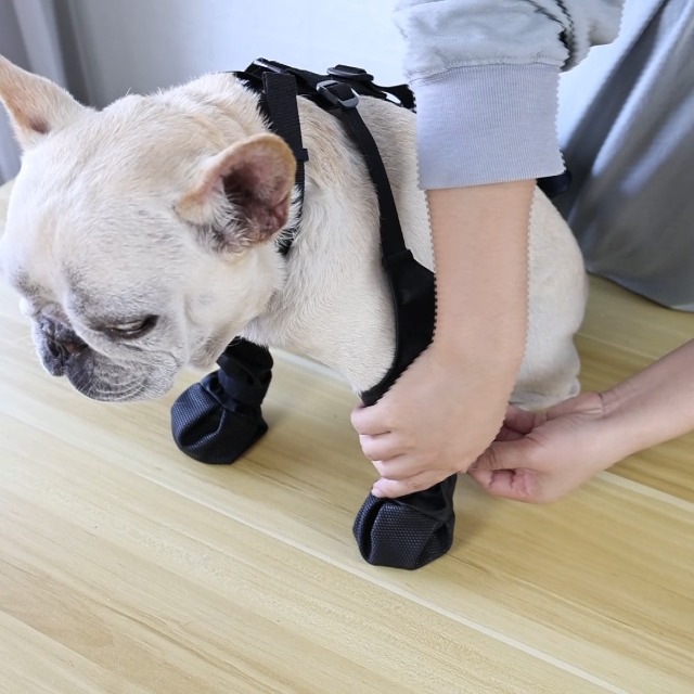 Amazon.co.jp: 犬用レッグカバー 屋外四本足パンツ 犬用シューズ 犬