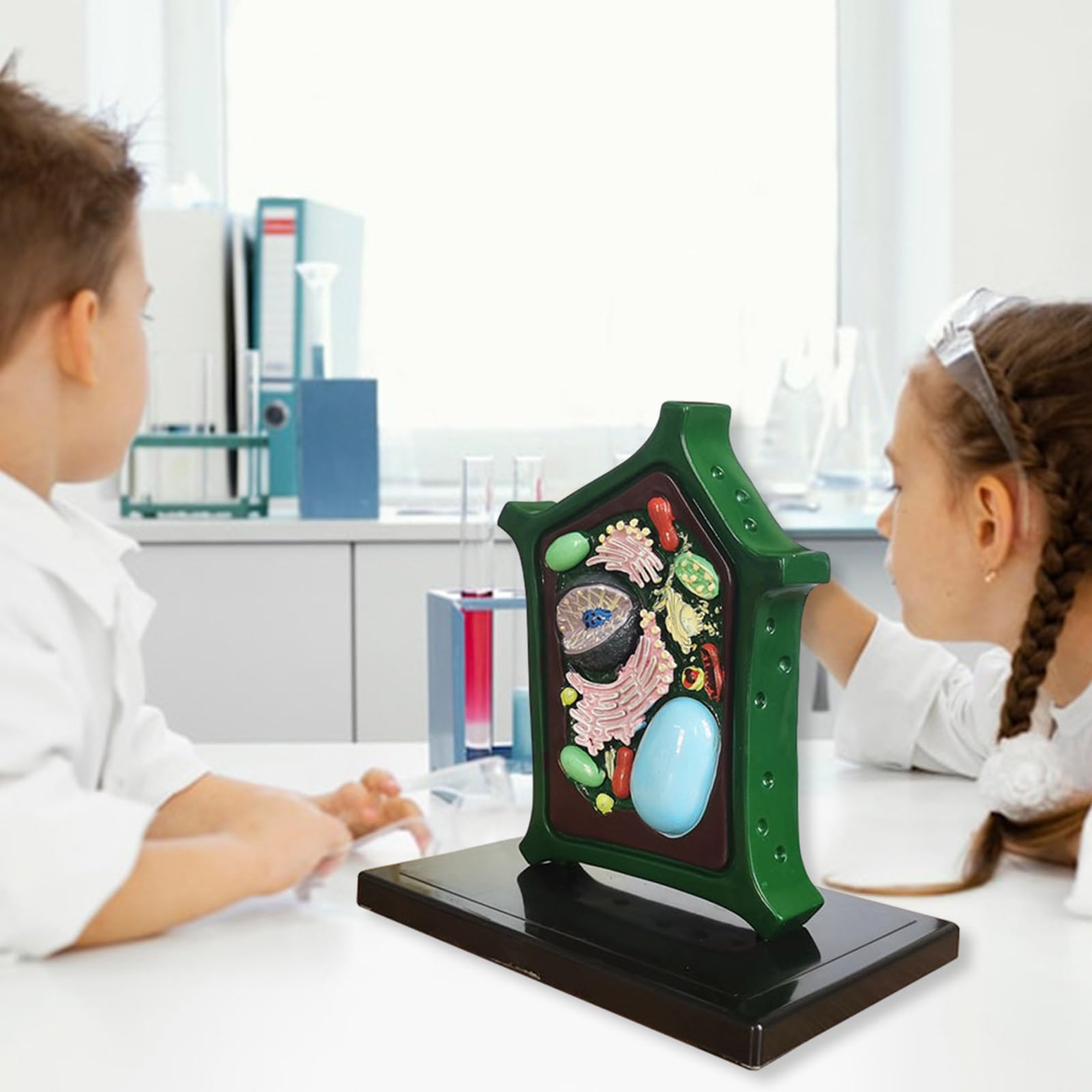 Modello di cellule vegetali Modello Anatomia vegetale Apprendimento Biologia Scienza Modello Biologia Strumento didattico per l'educazione scientifica