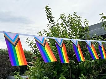 1 x Progress Pride Bunting, 10m with 25 Pennant Flags, LGBTQ Pride Banner Flag, Pride Parade Decorations for Manchester Pride, Brighton and Hove Pride, Northern Pride, Celebrating Queerly Beloved