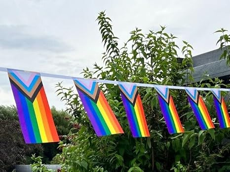 1 x Progress Pride Bunting, 10m with 25 Pennant Flags, LGBTQ Pride Banner Flag, Pride Parade Decorations for Manchester Pride, Brighton and Hove Pride, Northern Pride, Celebrating Queerly Beloved