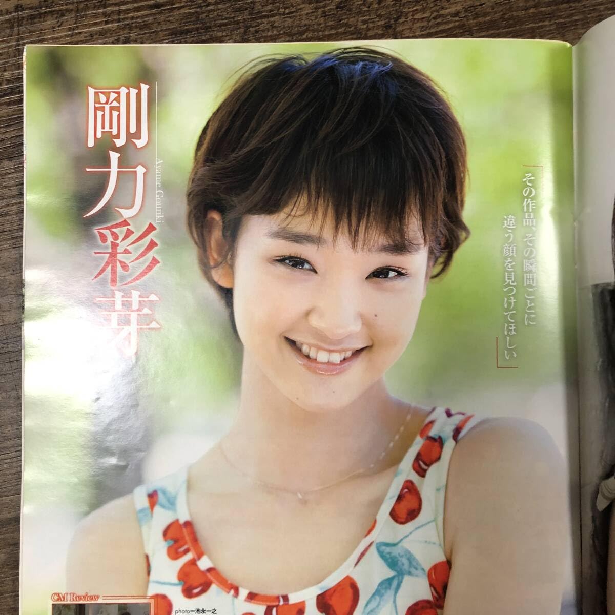 B.L.T. AKB48版 付録未開封 2011年5月号 なver.　入手困難 B.L.T. AKB48版 付録未開封 2011年5月号 なver. 入手困難 B.L.T.