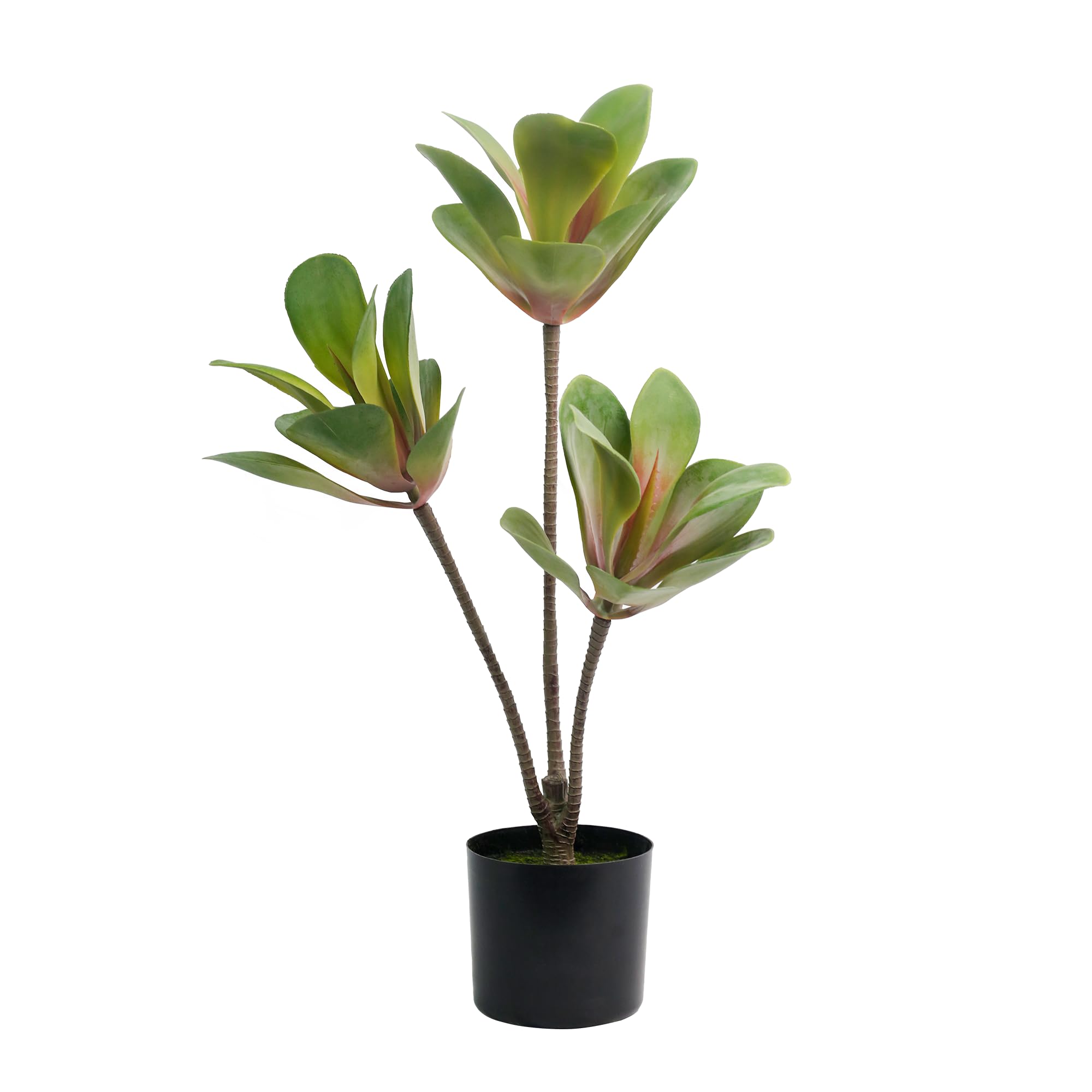 25 Inch Artificial Gentleman Orchid Tree Large with Thick Leaves Fake Agave Plant Indoor Faux Floor Tree Decoration, Office Desk Bathroom Shelf Bedroom Living Room Decoration