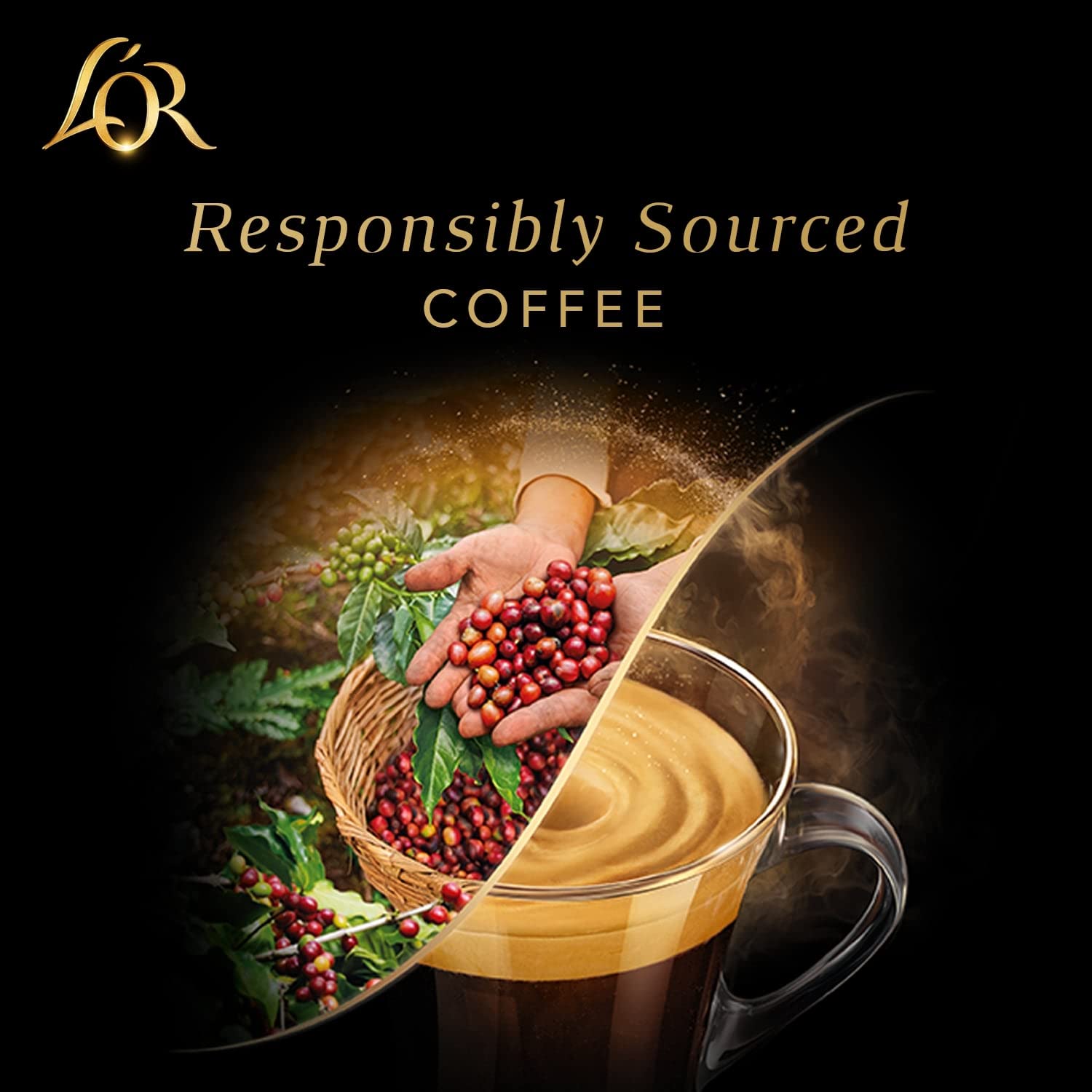 L'OR Espresso Coffee Forza Intensität 9 – Nespresso®* kompatybilne kapsułki z kawą z aluminium – 10 opakowań po 10 kapsułek (100 napojów)