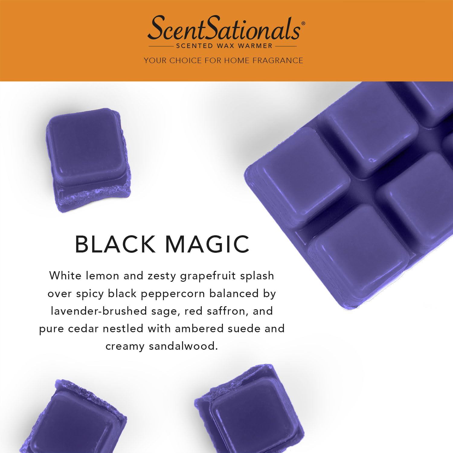 Scentsationals Wax Melts, Wax Cubes Strong Scent - Enchanted Night Collection Black Magic - Long Lasting Scented Melts for Warmer, 10oz (24-Cubes)