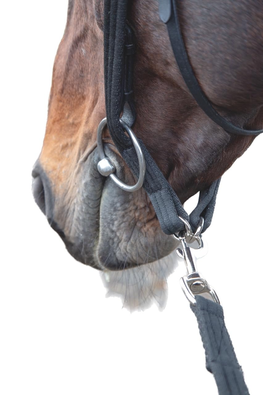 Shires Lunging Adapter