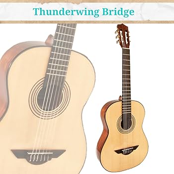 Amazon.com: H. Jimenez 6 String Acoustic Guitar, Right