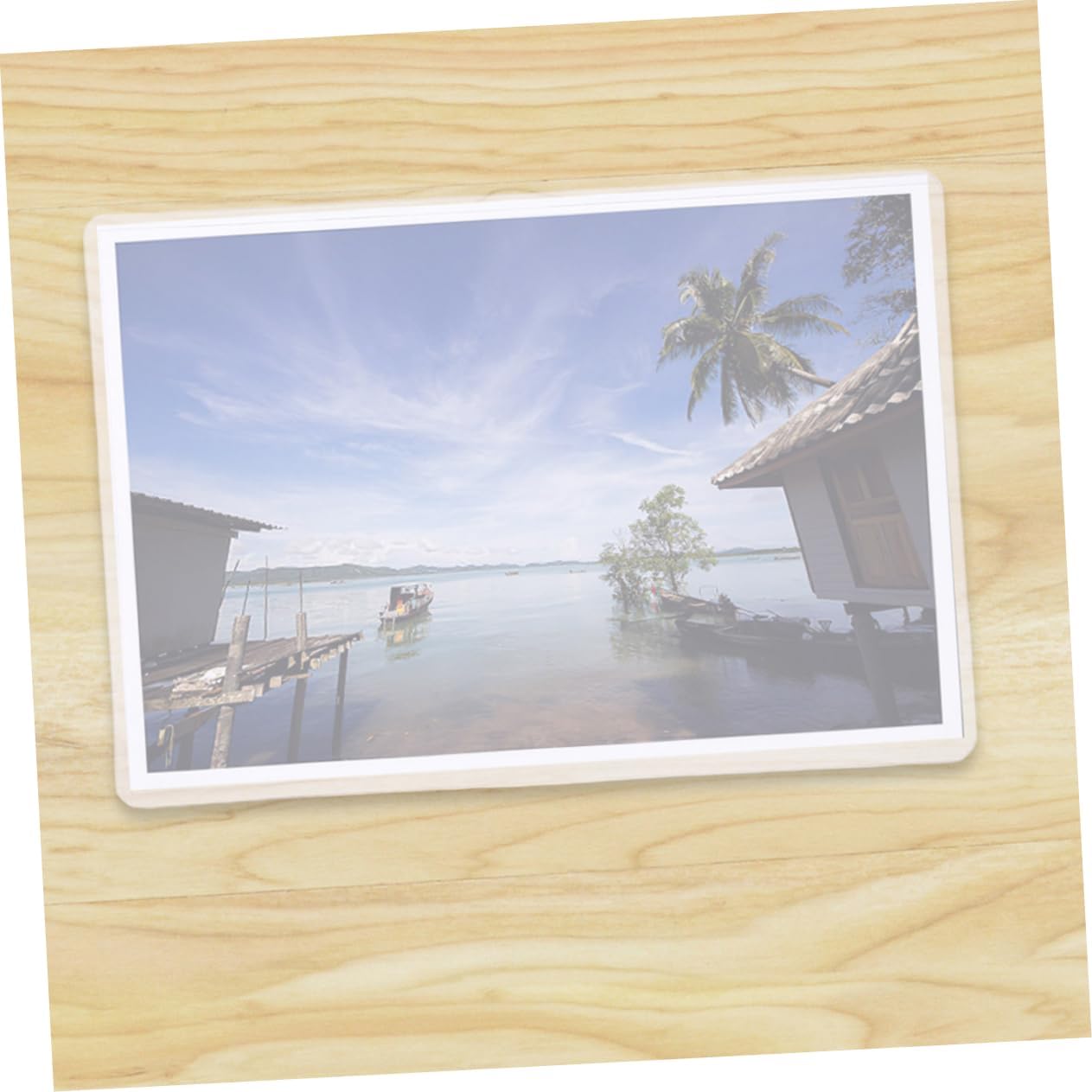 STOBOK 50pcs Transparent Hard Photo Protector Sleeves Vertical Card Holders for Storing and Displaying Postcards Slim Design for Easy Access and Minimalist Display