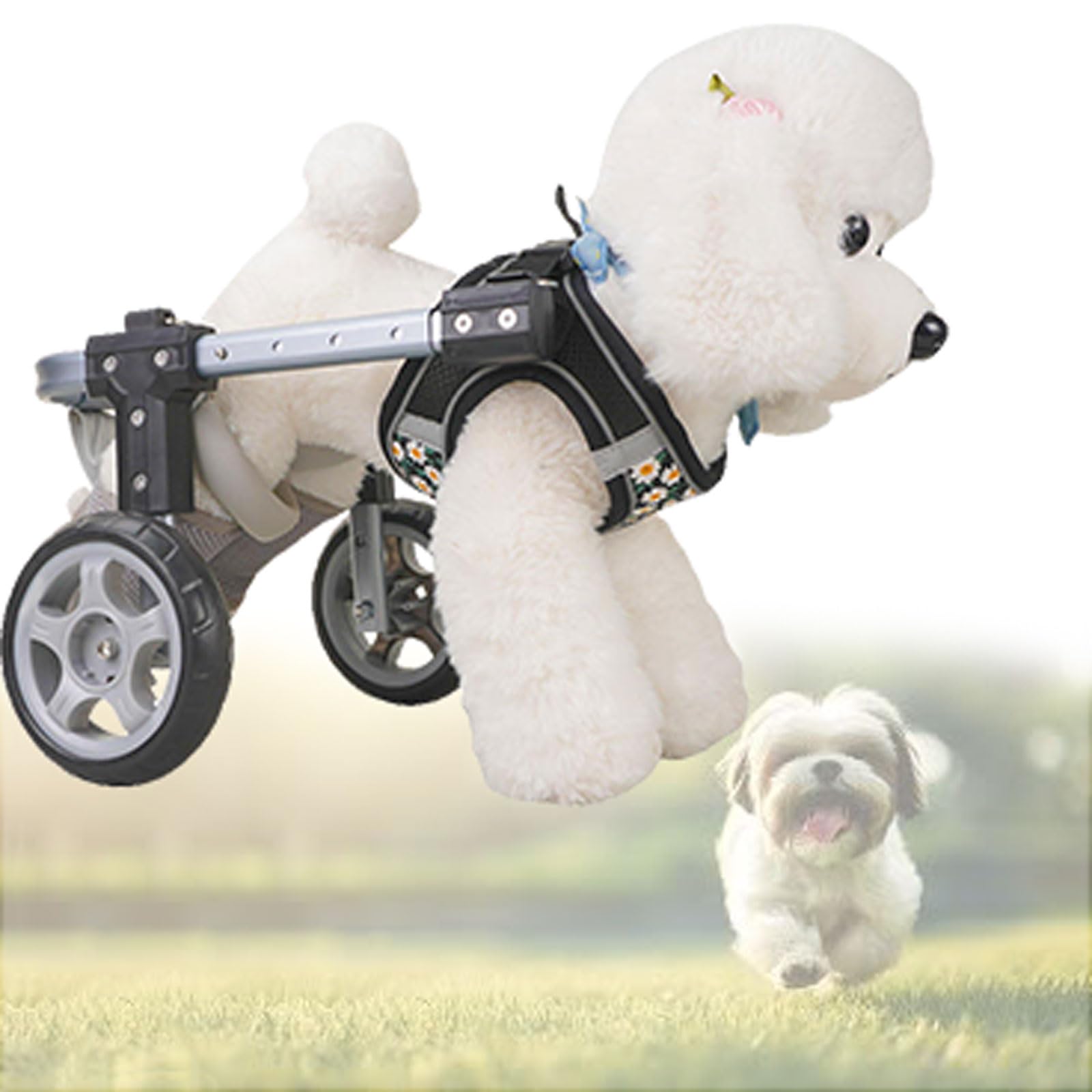 Silla de ruedas para perros: carritos ajustables para devolver la alegría a tu mascota
