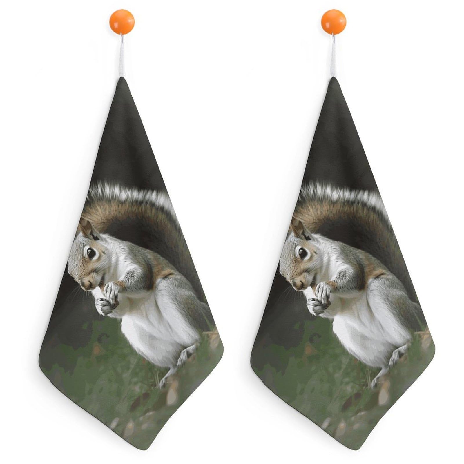 LDGSUPH Squirrel Hand Towels Fashion Hand Face Towel with Hanging Strap Absorbent Soft Decorative Towel Fade Resistant Cozy Face Cloths for Kitchen Gym Bathroom Towels 2PCS