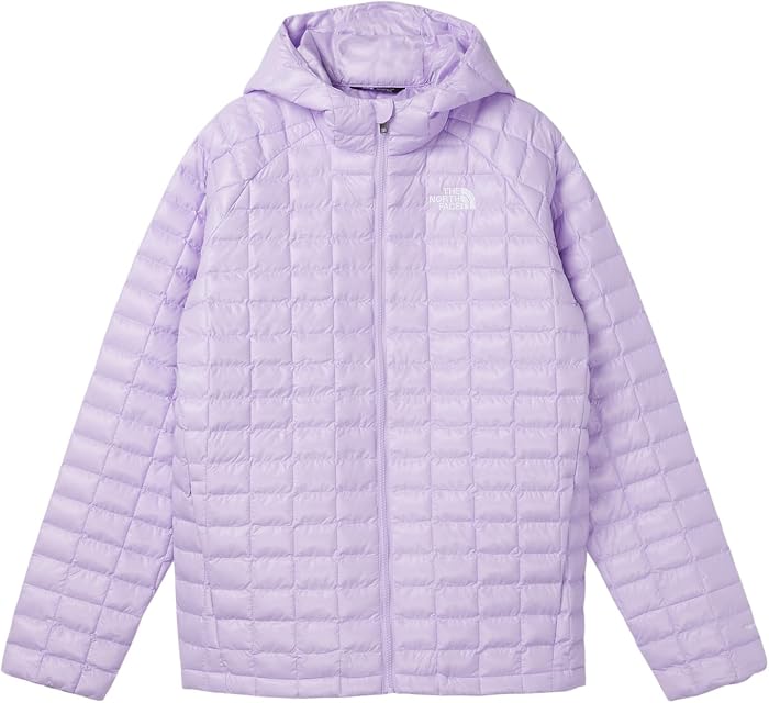 Детские The North Face THERMOBALL Hooded Jacket (Little Kid/Big Kid)
