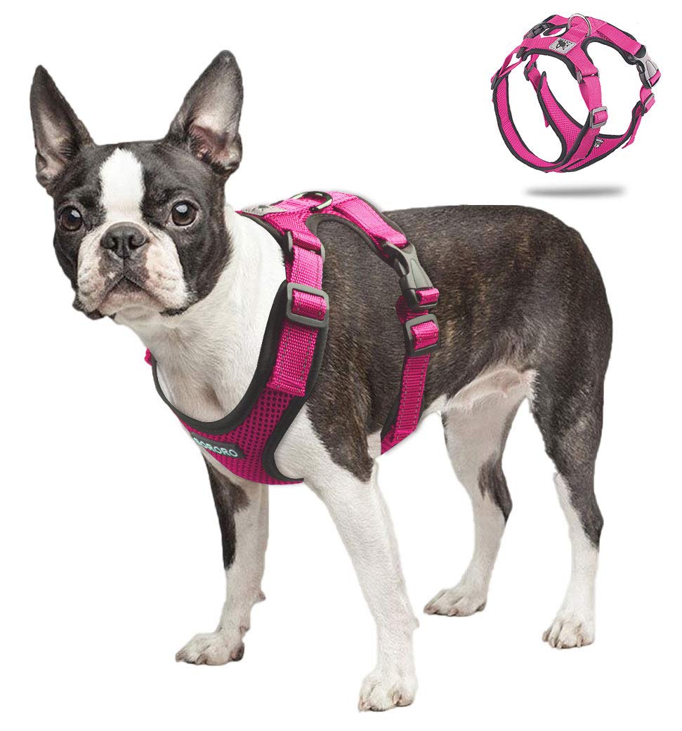 ACKERPET Soft Dog Vest Harness No Pull Small Pet Vest Harnesses with Mesh Padded Reflective Adjustable Pet Vest Easy Control Step-in Pet Harnesse or Puppy Small Medium Dogs ( M,Rose Red)