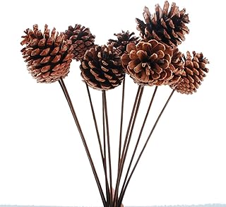 NWFashion NWFashion 10PCS 2INCH Natural Dried Pinecones Pods DIY Stick Stems
