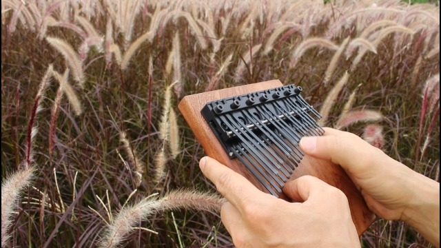 Amazon | BugsGearピアノ鍵盤形36音クロマティックThumb Piano半音