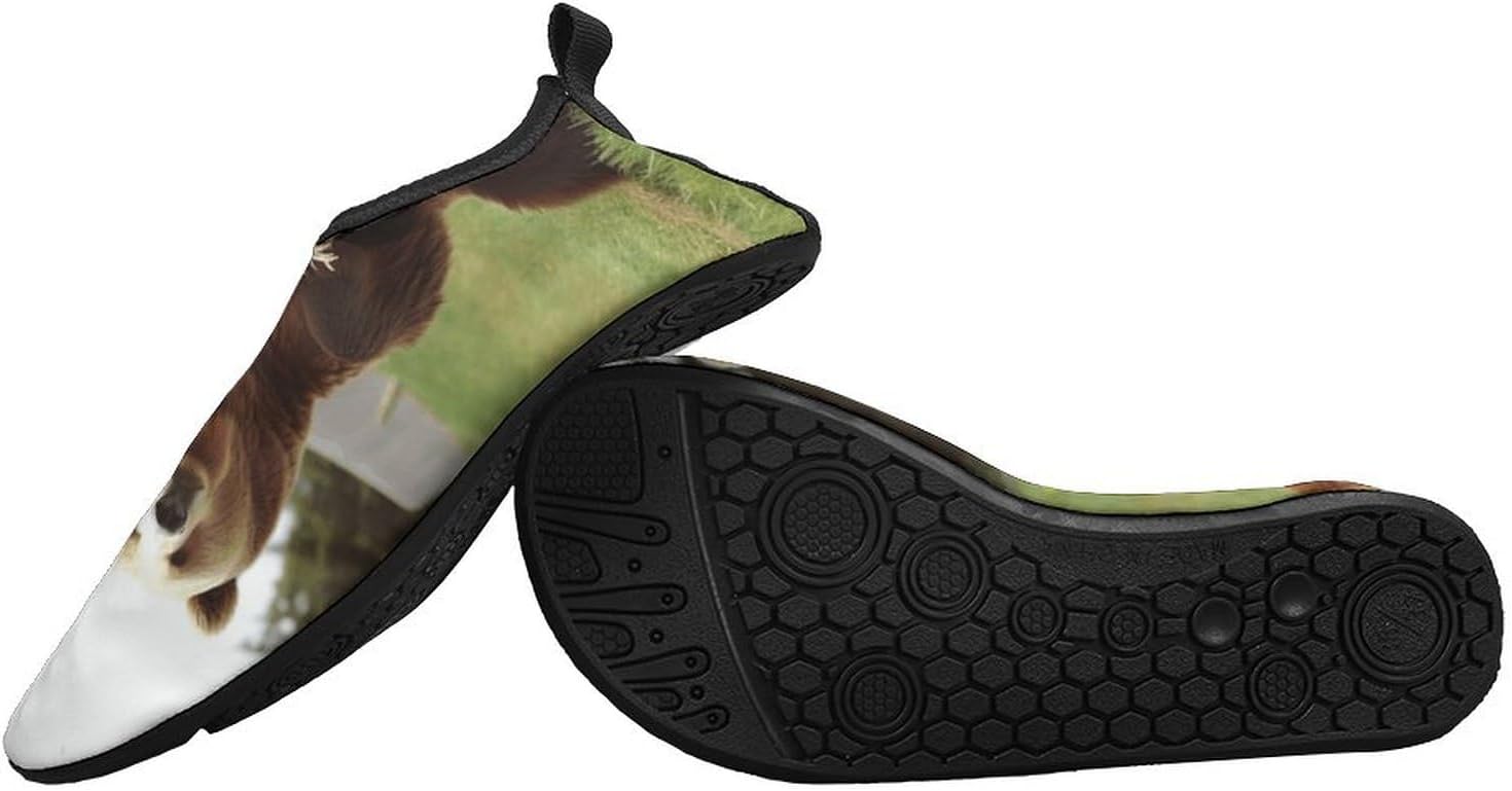 Water Shoes for Women Men Swim Beach Shoes Quick Dry Barefoot Aqua Shoes Hi Bear Sit on The Lawn Sport Shoes Hiking Shoes 11/12women,9/10men