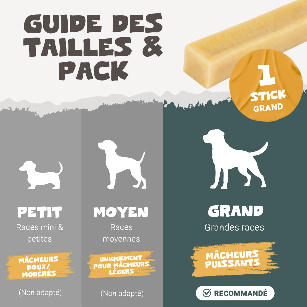 Pets Purest Barres au Lait de Yak de l'Himalayan à Mâcher Large - Friandises Naturelles Os au Fromage - pour Tous Les Ages, Chiots & Les Chiens Agés - Bâtonnets de Protéines & Calcium Longue Durée